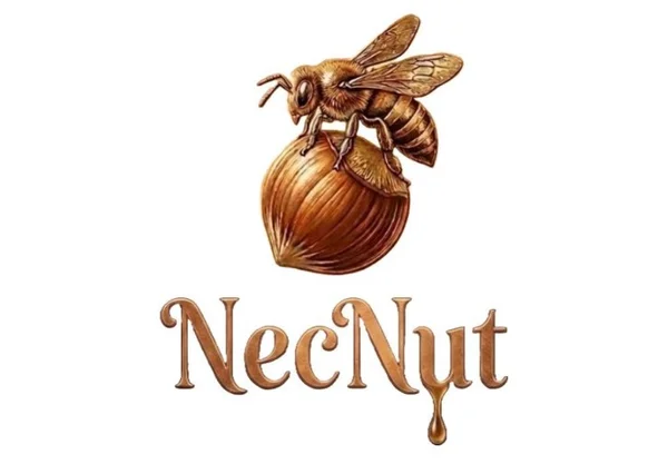 ნექნათი / NecNut